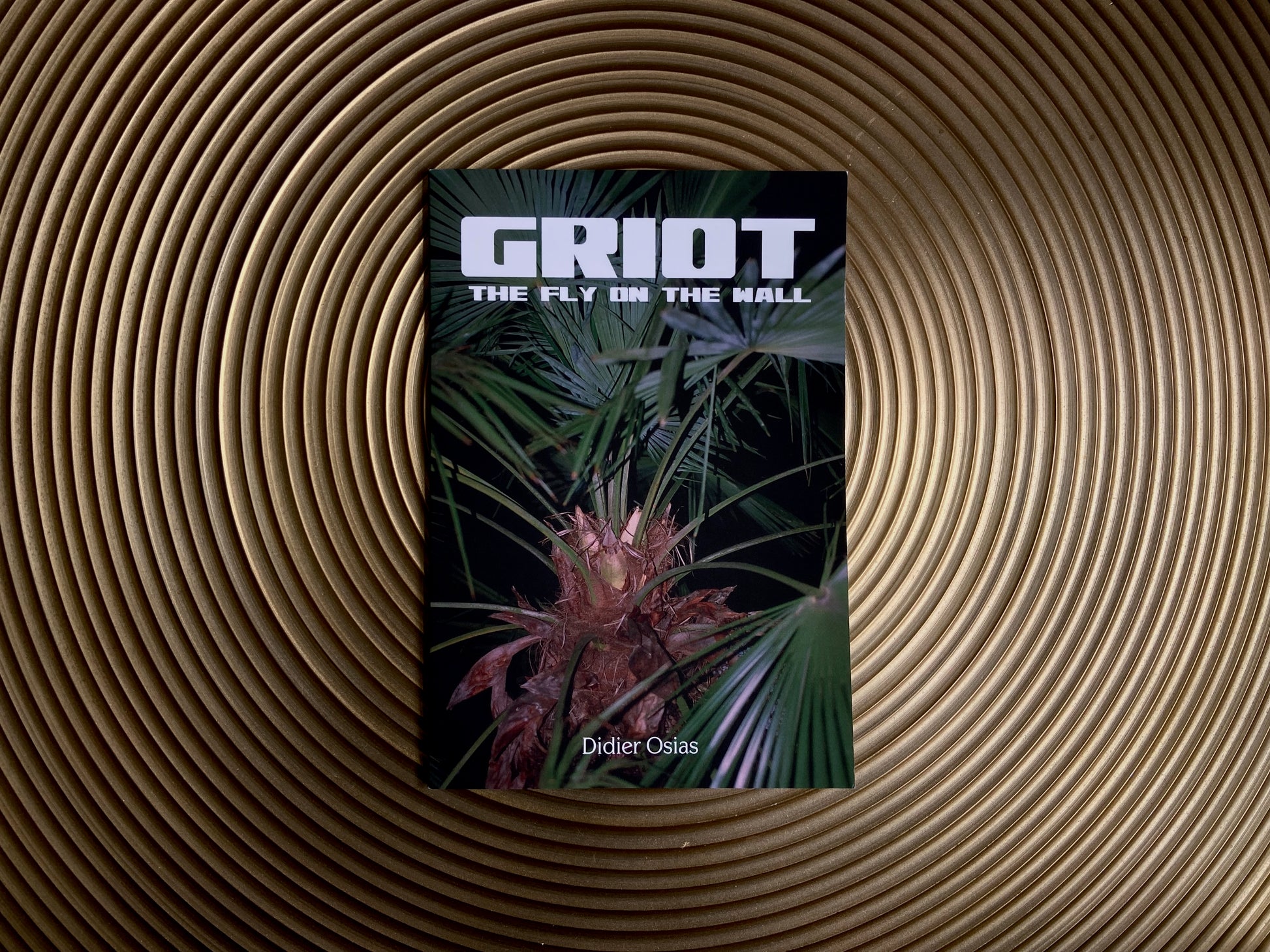 Griot: The Fly On The Wall